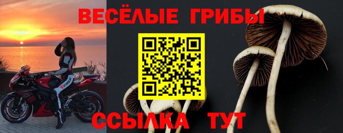Нефтекумск  Псилоцибиновые грибы Psilocybe  как найти закладки  Вход с VPN 